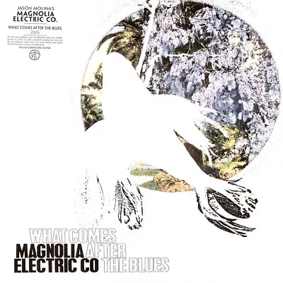 Magnolia Electric Co. - What Comes After The Blues (Vinyl LP - US - Reissue) • £22.62