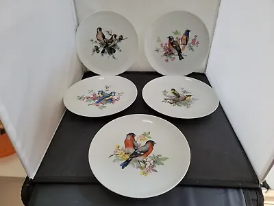 West Germany Kaiser Vintage Plates/Set Of 5 Different  Birds  Porcelain Ex Cond • $47.50