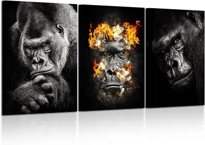Kreative Arts 3 Pieces Canvas Prints Western Lowland Gorilla Black White Animals • $119.98