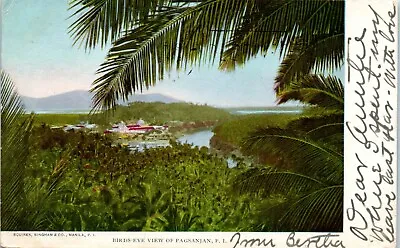 Postcard Philippines Birds Eye View Of Pagsanjan Laguna Palm Trees Posted 1907 • $6.99