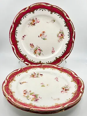 SET OF 3 FINE EARLY 19th CENTURY UNMARKED ANTIQUE FLORAL DINNER PLATES; 791 • £48.25
