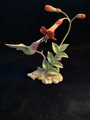 Maruri Rufous 6.5” Hummingbird With Trumpet Creeper Bird Figurine H-9524 • $55