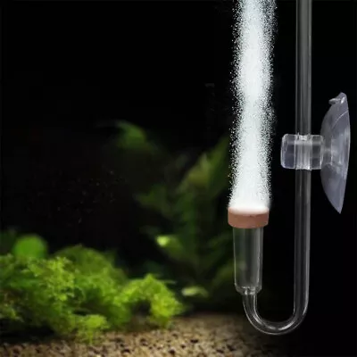 Acrylic Transparent CO2 Diffuser Suction Cup Fixing Atomizer Bubble CountJY • £8.30