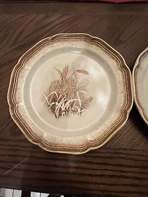 Mikasa Whole Wheat Granola E8001 Stoneware Dinner Plates 10.75  Vintage Set Of 3 • $38.21