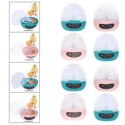 Mini Egg Incubator For Kids With Light Clear Poultry Hatcher Duck Bird • £22.09