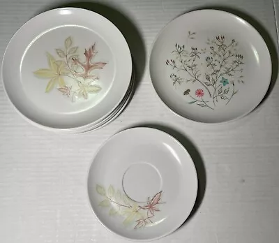 10 Vintage Windsor Melmac Plates Fall Leaves And Small Flowers • $10.95