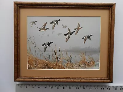 Maynard Reece OVER THE POINT-LESSOR SCAUPS 11x14 Framed 3.5 518 • $35