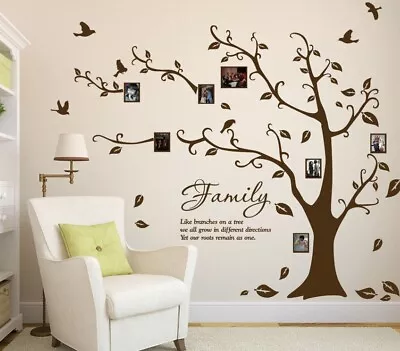 Family Photo Tree & Birds Art Vinyl Wall Sticker Home Wall Decal- HIGH QUALITY • £12.99