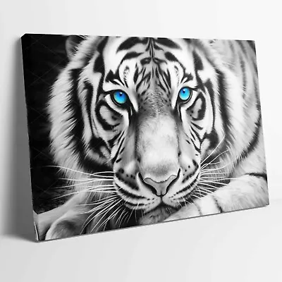 White Tiger Blue Eyes Animal Portrait Stretched Canvas Or Unframed Poster Print • £17.99