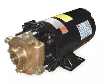 Dayton 2Zwr6 Bronze/Brass 1/2 Hp Centrifugal Pump 208-230/460V • $485.99