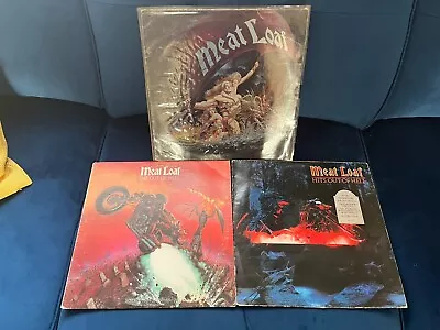 Meat Loaf Vinyl Albums • £9.99