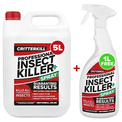 6l Insect Killer Spray Insecticide Bed Bug & Household Pests - Pro Strength • £33.95