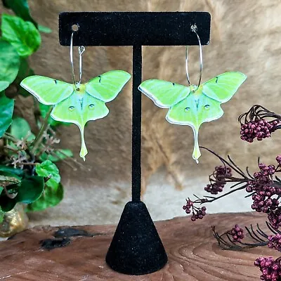 O62p Oddities Curiosity Mystical Fairy Luna Moth Earrings Jewelry Acrylic Fashn • $14.99