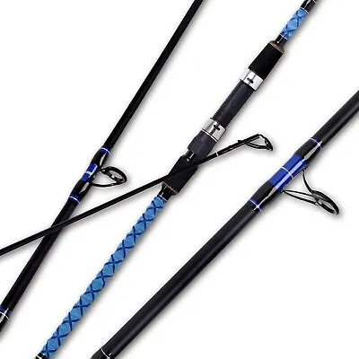 Surf Spinning Fishing Rod Carbon Fiber Travel 2/3/4 Piece Pole 9/10/11/12/15 Ft • $96.91