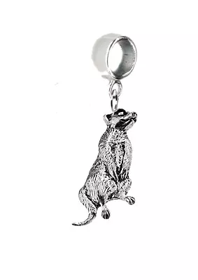 A61 Meerkat Pewter Charm On A Bail 5mm Hole Add To Bracelet Or Necklace • £9.99