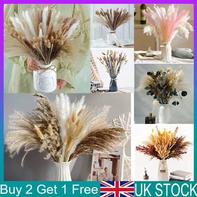 Pampas Grass Natural Dried Flowers Feather Bouquet Bunch Flowers Home Decor UK • £7.21