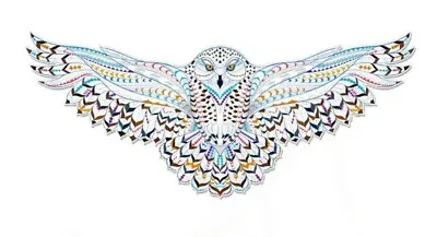 $7.59 • Buy Native American Owl Heat Transfer Iron On Graphic Patch 4.00  Blue Bird