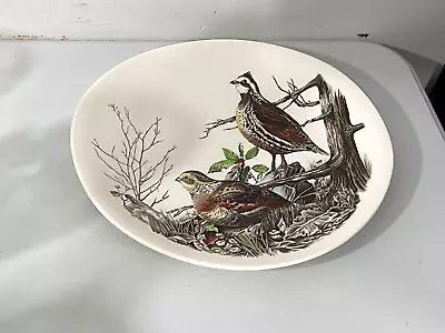 Johnson Brothers Game Bird Series 11- 1/8  X 10- 1/4  Oval QUAIL Dinner Plate • $19.99