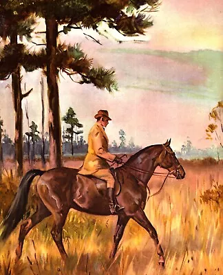  THE TENNESSEE WALKING HORSE  Vintage Original Horse Print 1960 • £20.43