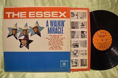 THE ESSEX 'A Walkin' Miracle LP • $4.95