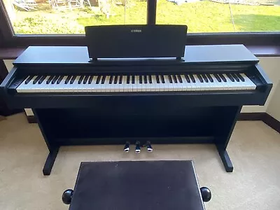 Yamaha YDP143 Digital Piano  Rosewood • £685