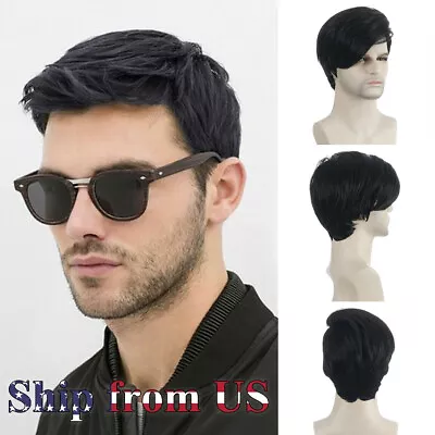 Man Wig Short Little Wavy Synthetic Hair Heat Resistant Male Natural Look Style • $14.99