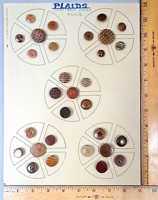 Card Of 30 ANTIQUE BUTTONS Assorted VEGETABLE IVORY All With Plaid Designs • $49.99