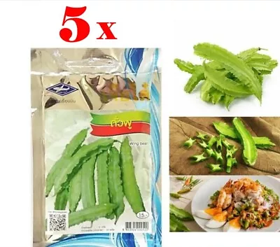 5 X25 Seeds/Pack Winged Bean Thai Vegetable Garden Easy Planting Free Ship+Track • $14.95