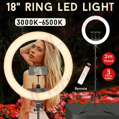 $67.99 • Buy 18'' Dimmable LED Ring Light 80W 6500K Diffuser Stand Make Up Beauty Studio Bag