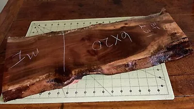 One Long Hawaiian Milo Wood Board~23  X 9 1/2  X 1  (#220) • $106