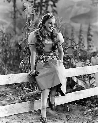 JUDY GARLAND From THE WIZARD OF OZ Photo   (217-X ) • $11.67