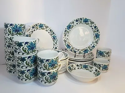 Retro Midwinter Pottery Spanish Garden Incomplete Dinner Tea Set • £90