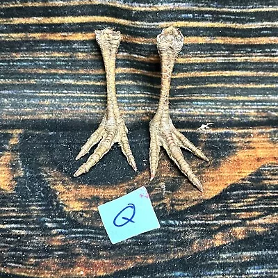 2 Real Chicken FEET Pair Animal Mount Witch Art Craft Bird Voodoo Stands Decor • $15