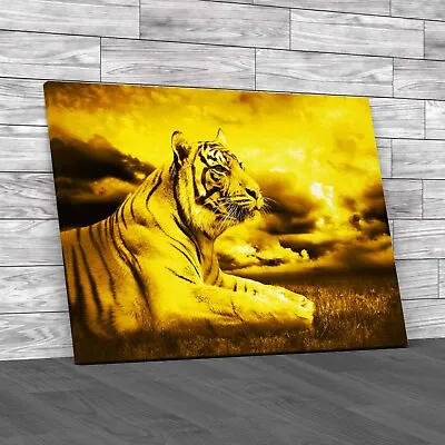 Captivating Tiger Under Dramatic Sky Yellow Canvas Print Large Picture Wall Art • £21.95