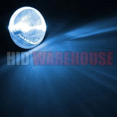 HID-Warehouse AC Replacement Bulb H7 10K 43K 5K 6K 8K • $15.99