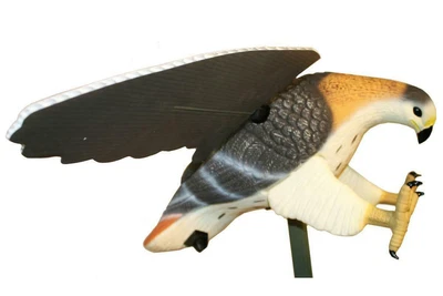$75.99 • Buy MOJO Outdoors HW4310 Hawk Predator Hunting Decoy