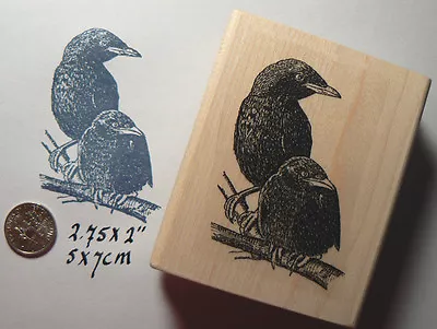 P27 Black Crows Rubber Stamp 2x2.4   • $13.50