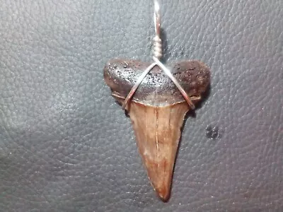 Beautiful 1.9 Mako Shark's Tooth Pendant W Sterling Silver Hand Wrapped Bail • $21.99