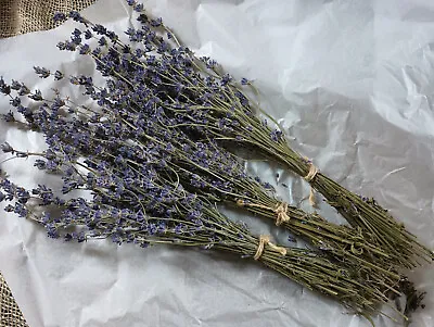 Lot Of 20+: Dry Lavender Bundles Bunches 'Munstead' Naturally Dried • $93.89