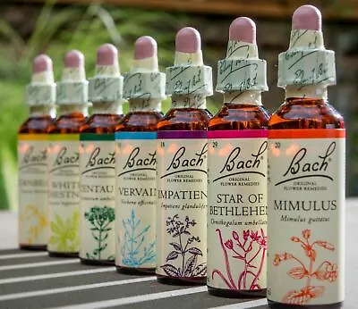 £6.74 • Buy Nelsons Bach Original Flower Remedies 20ml - All Remedies Available