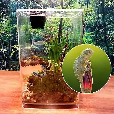 Acrylic Reptile Terrarium Gecko Lizard Spider Vivarium Pet Cage Tank House NEW • $31.35