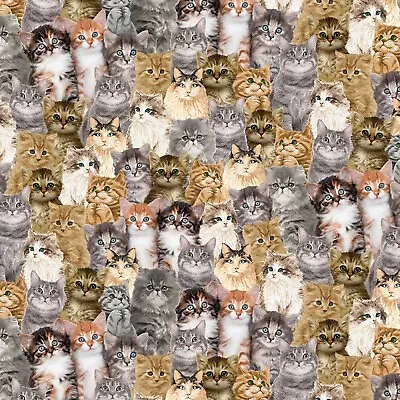 Feline Drive Fabric YOU HAD ME AT MEOW Packed Realistic Cats Sold By The Yard • £13.03