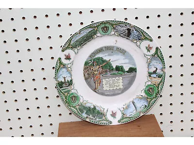 Vintage  Mohawk Trail Mass.  Souvenir Collector Plate W/native American & Poem • $53.88