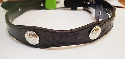 Faded Glory Boy's Western Belt Size LARGE (28-30) Black With Silver Accents NEW • $11.03