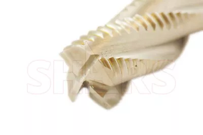 $8.98 • Buy SHARS 5/16  X 3/8  M2AL HSS Four 4 Flute Roughing End Mill NEW !}