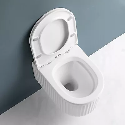 Modern Wall Hung Toilet Rimless Flush System Compact Toilets Soft Closing Seat • $269.46