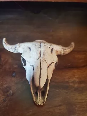 Vintage Small Resin Bull Skull Horns Western Cowboy Decoration • $11.99