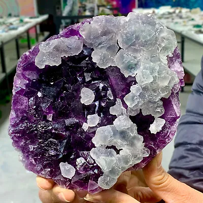 2.87LB Natural Transparent Purple Cubic Fluorite Crystal Cluster Mineral Sample • $1155