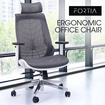 FORTIA Ergonomic Office Desk Chair Mesh With Lumbar Back Support Comfortable • $305