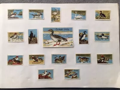 Matchbox Labels Russia Ussr Very Old Vintage  Ducks  Complete Set Of 17 • $10